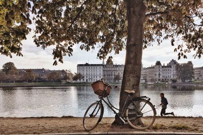 Bicycle parked by tree 