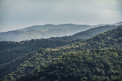 Scenic view of mountains