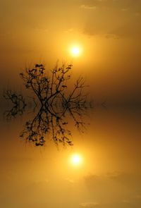 Silhouette tree against sky during sunset