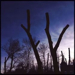 Low angle view of bare trees against sky at sunset