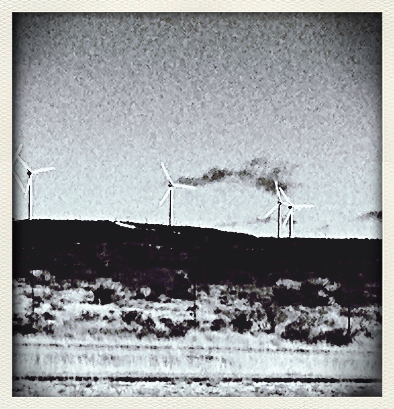 Turbine Fields