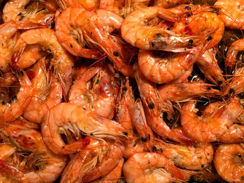 Full frame shot of boiled shrimps