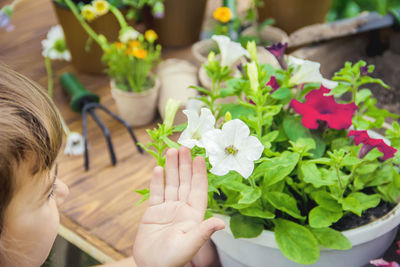 Cropped hand of woman holding bouquet