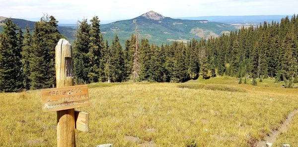 Panoramic shot of trees on field against mountains