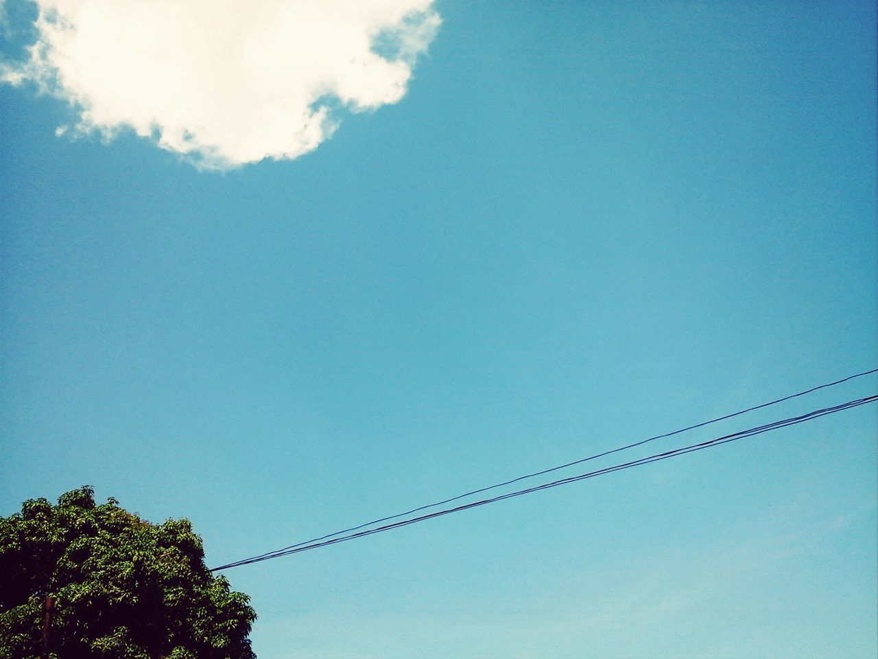 low angle view, blue, power line, clear sky, cable, sky, copy space, connection, electricity pylon, electricity, power supply, high section, nature, tree, power cable, outdoors, day, no people, technology, fuel and power generation