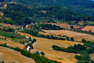 Scenic view of agricultural field