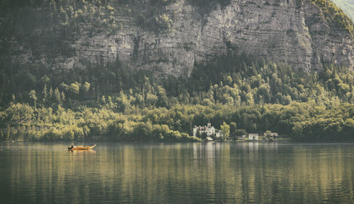 Scenic view of lake in forest