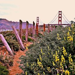 View of suspension bridge