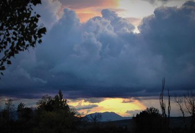 Low angle view of silhouette trees against dramatic sky