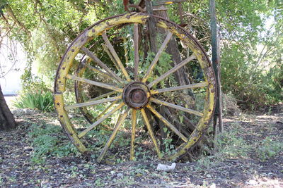 Close-up of abandoned building