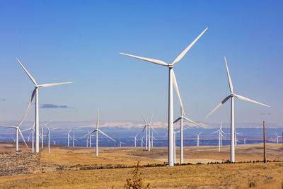 Wind turbines in a field with clear sky