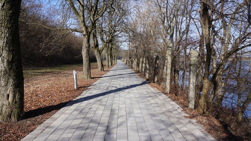 Footpath amidst trees in park