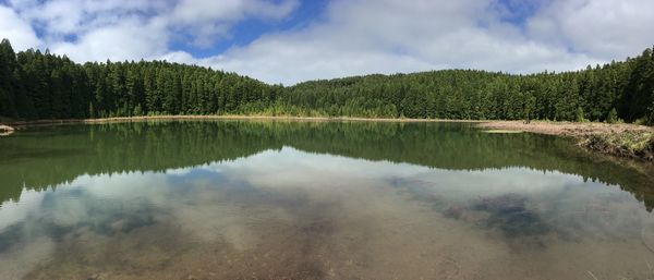 Scenic view of lake by trees against sky