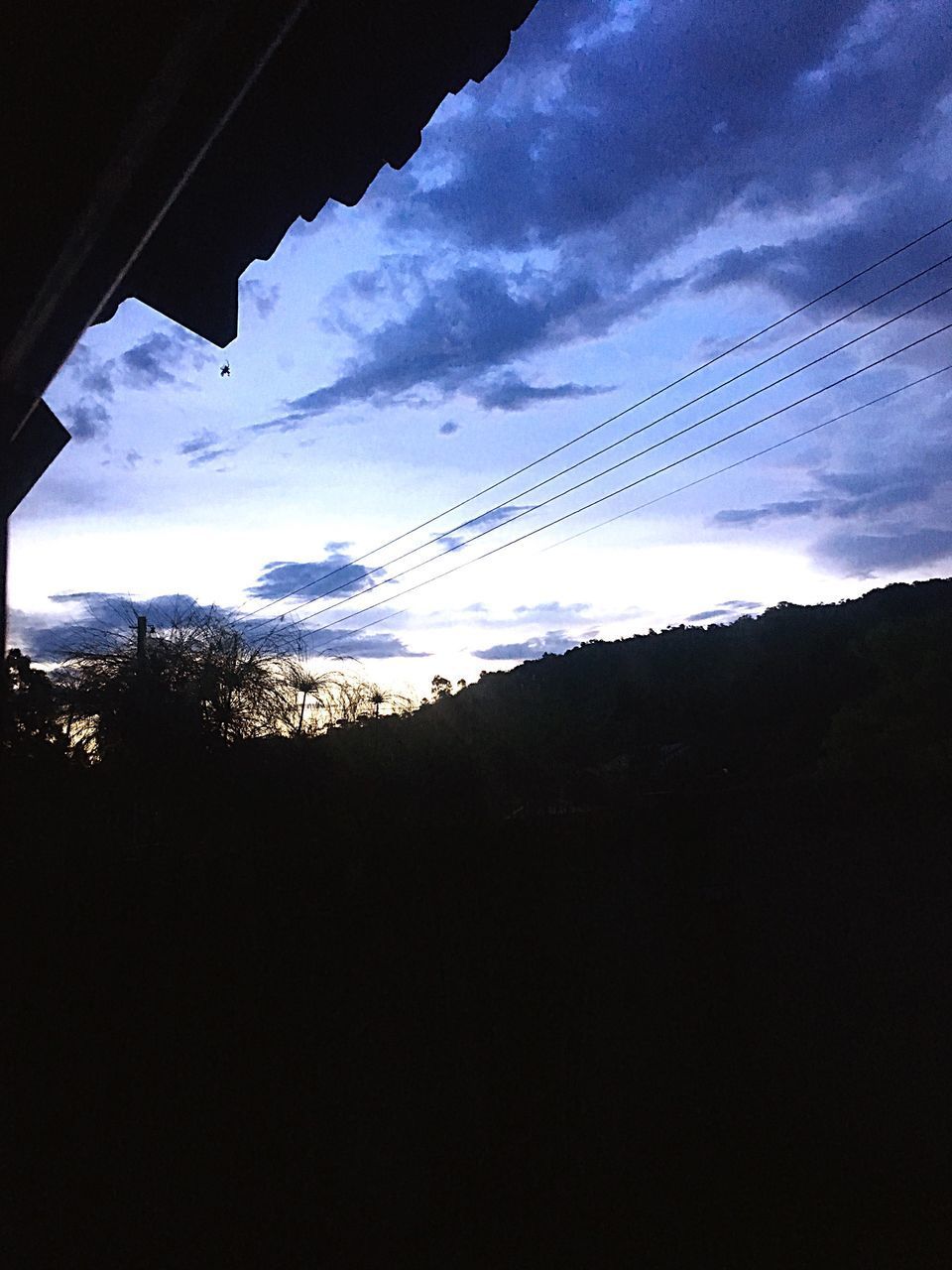 LOW ANGLE VIEW OF SILHOUETTE TREES ON LANDSCAPE AGAINST SKY