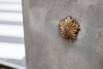 High angle view of butterfly on wall