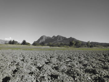 Scenic view of field against clear sky