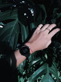 Cropped hand of woman against plants