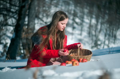 Girl picking apples on snow covered land