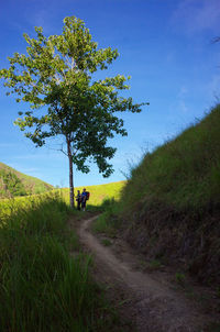 Man walking on field by tree against sky