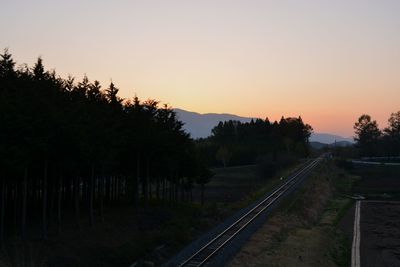 Silhouette trees by road against sky during sunset