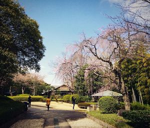 Footpath in park