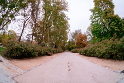 Road amidst trees against sky