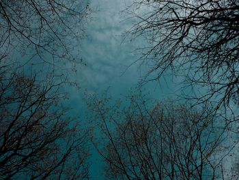 Low angle view of bare trees against sky