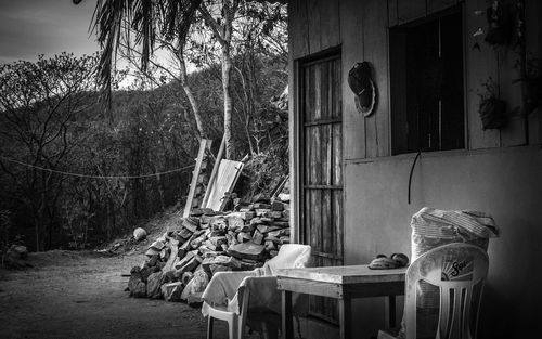 Chairs and table by tree