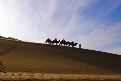 People on camel in desert against sky