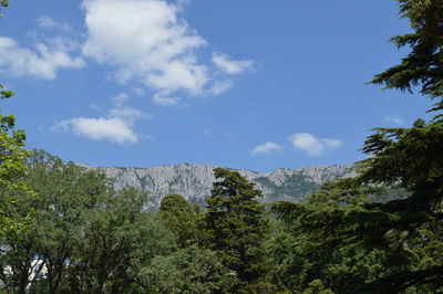 Plants growing on land against sky