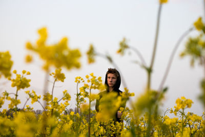 Young man standing amidst yellow flowering plants against clear sky