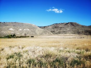 Scenic view of field against blue sky