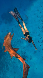 Freediving maldives with sharks