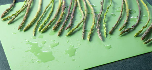 High angle view of wet leaf on table