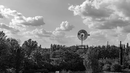 Plants and trees against sky