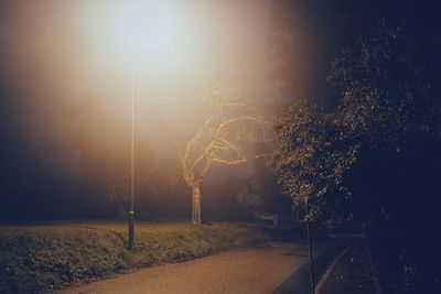 Illuminated tree against sky at night