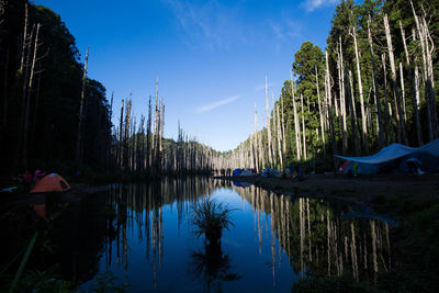 Scenic view of lake by trees against blue sky