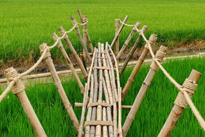 Scenic view of agricultural field