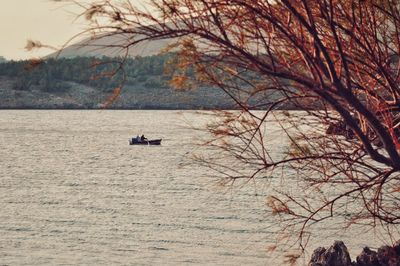 Scenic view of river and bare trees against sky during autumn