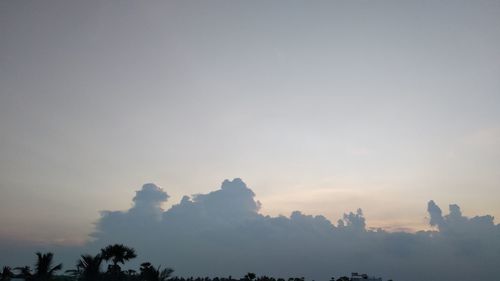 Low angle view of silhouette trees against sky