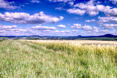 Scenic view of field against sky