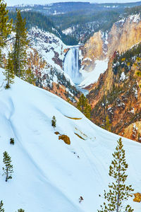 Scenic view of snow covered landscape