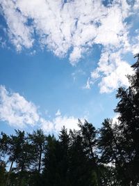 Low angle view of silhouette trees against sky