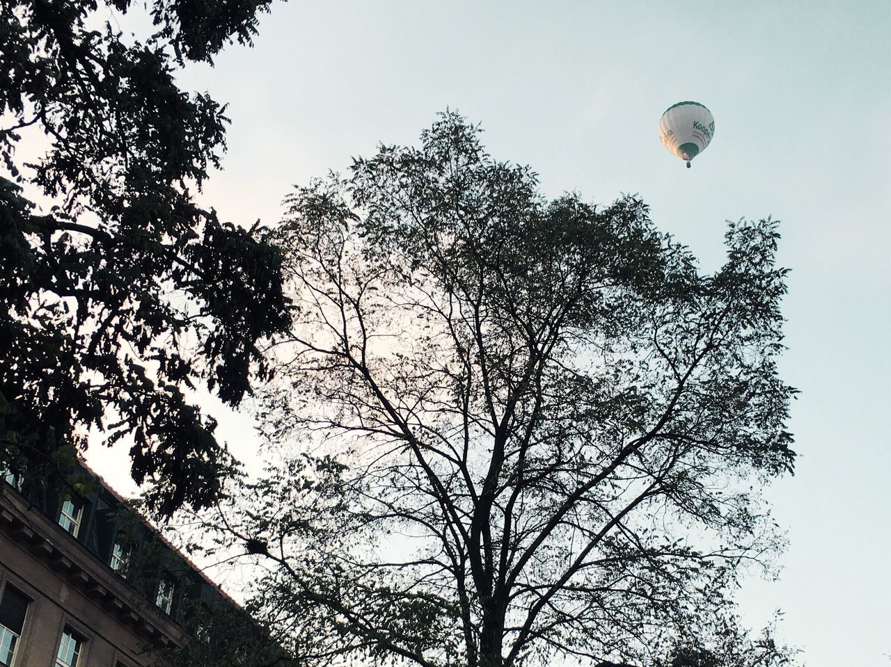 LOW ANGLE VIEW OF HOT AIR BALLOON