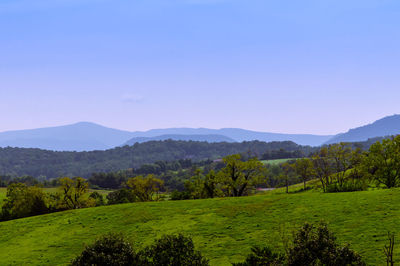 Scenic view of landscape against clear sky