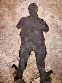 Low section of man standing on sand