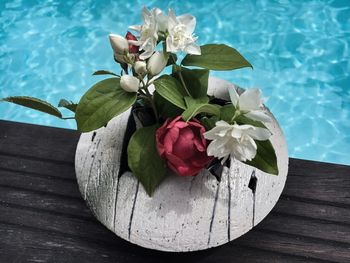 High angle view of red and white flowers on table by swimming pool