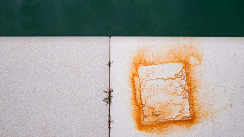 High angle view of ice cream in container