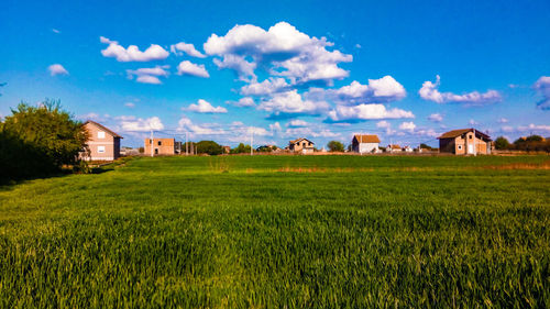 Houses on field by buildings against sky