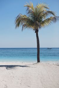 sea